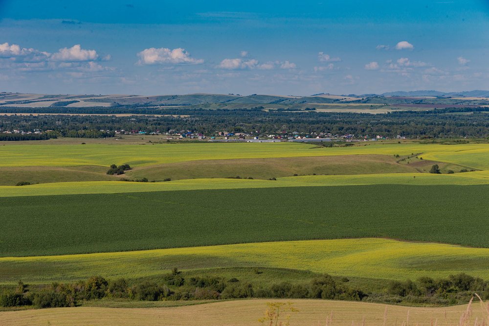 Фотография автора Владимир Русских