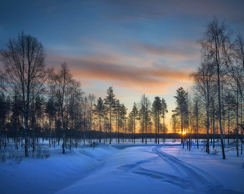 Photograph by 