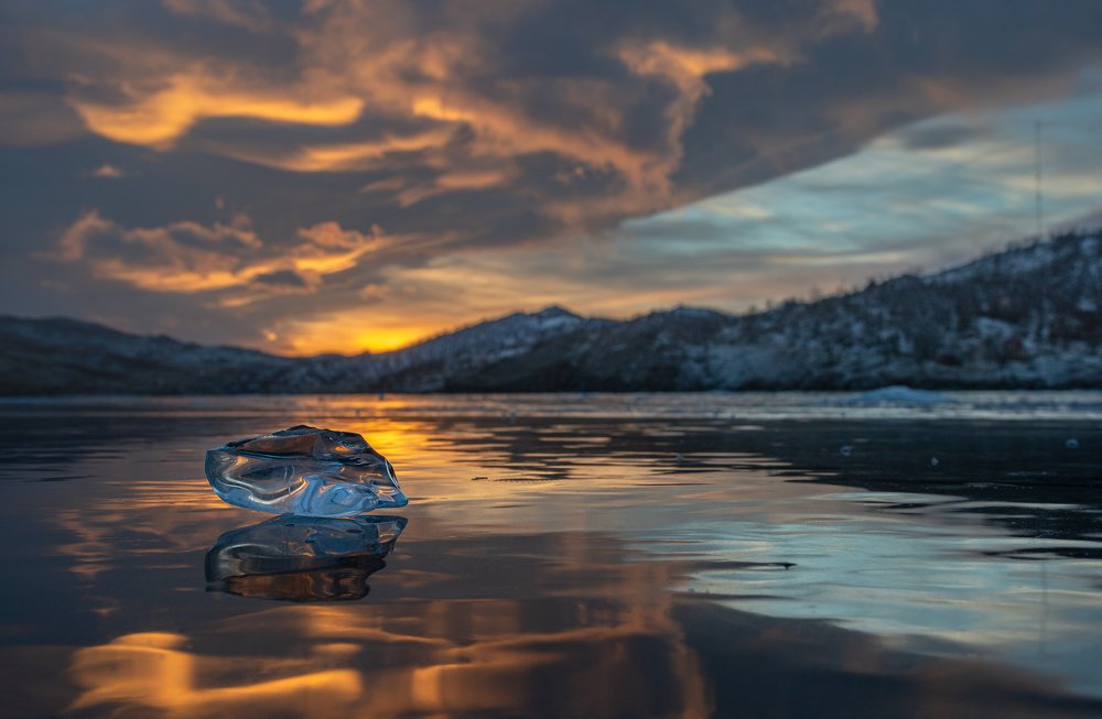 Байкальские замоцветы