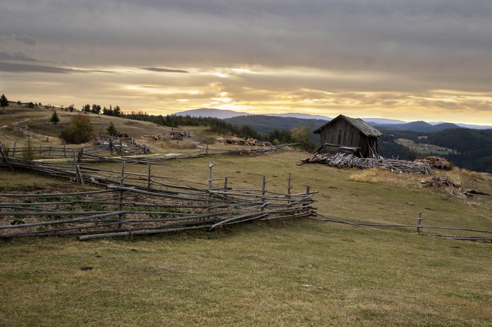 Photograph by Димитър Димитров