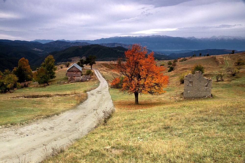 Photograph by Димитър Димитров