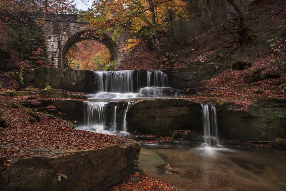 Photograph by Димитър Димитров