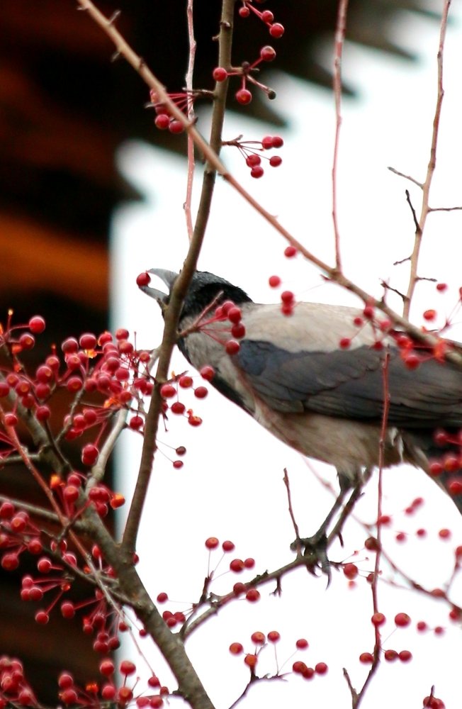 До чего же мы красивы