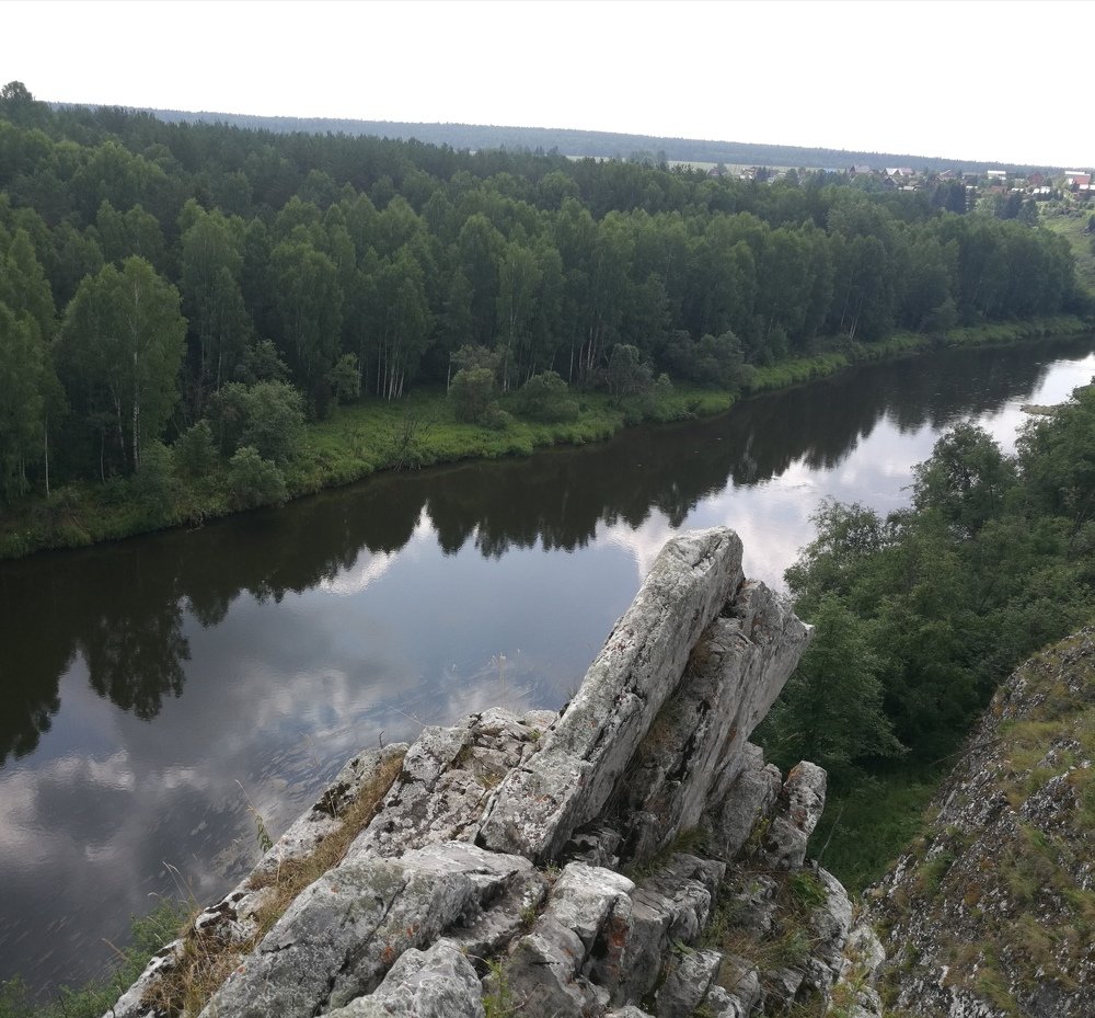 Photo #5539495
