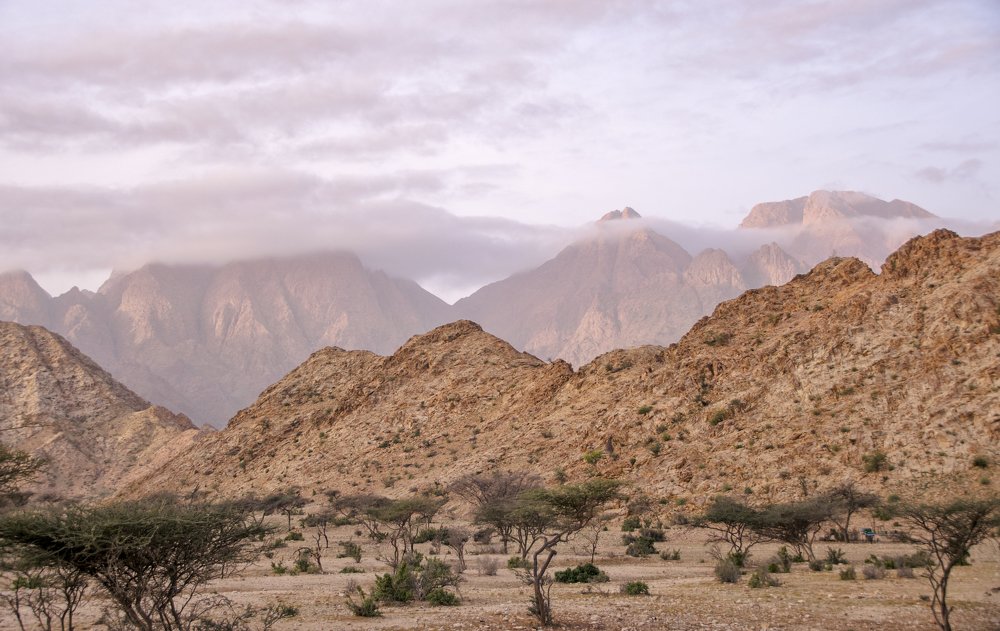 Фотография автора Sherine El Mously