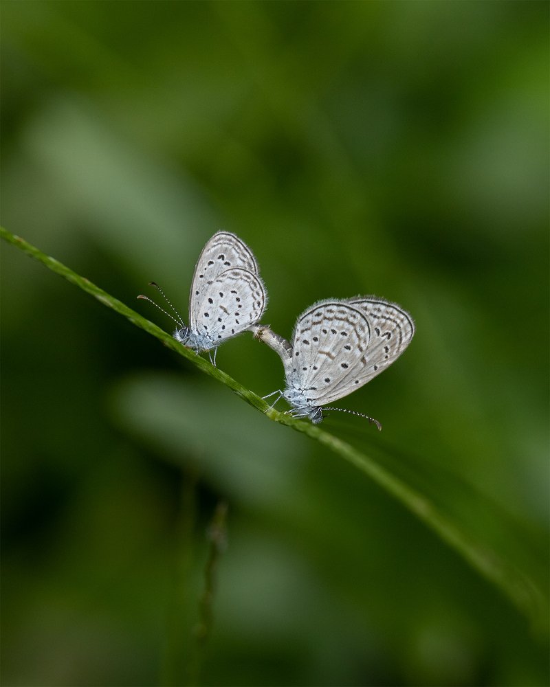 Under the Bright Sun