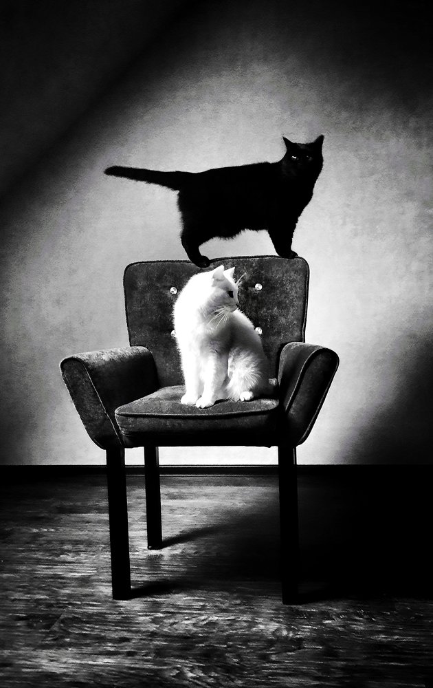 Photograph by Анастасия Калинина