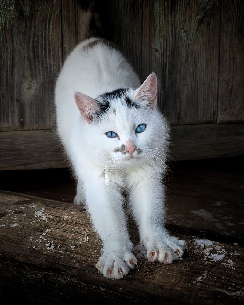 Photograph by Сергей Протасов