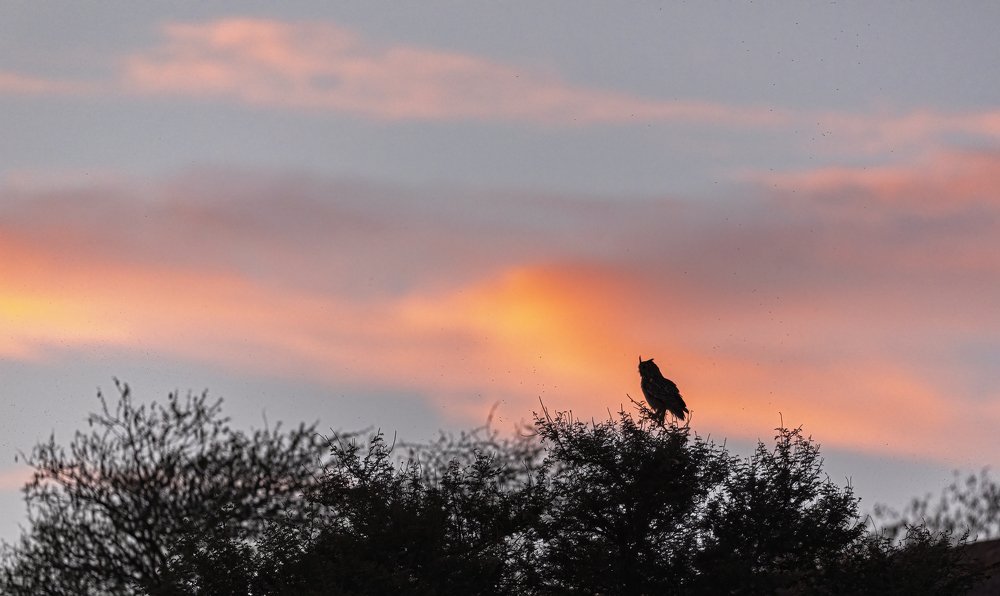 Фотография автора Ashok Behera