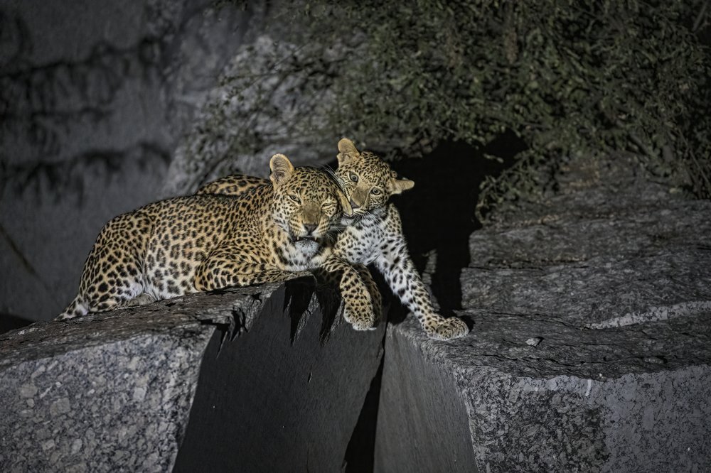 Photograph by Smita Behera