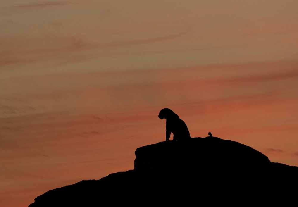 Photograph by Smita Behera