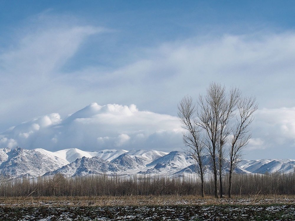 Photograph by Farid Ataei