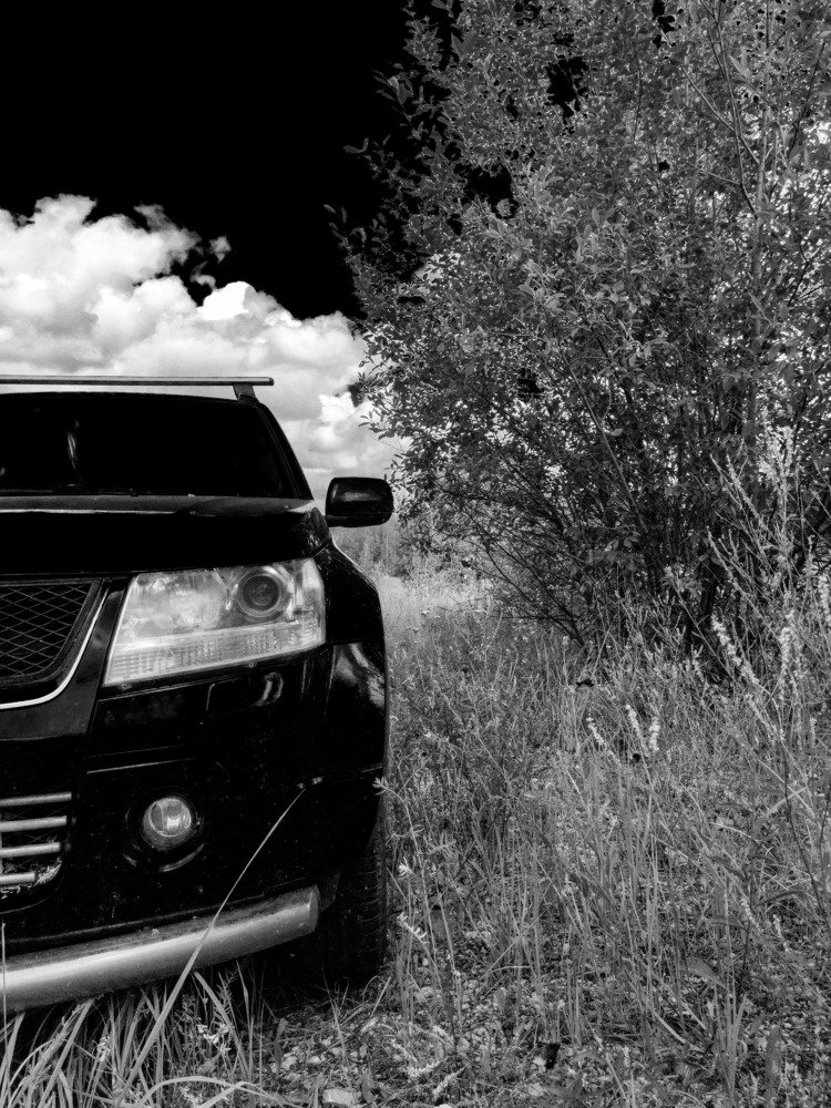 Photograph by Александр Ендин