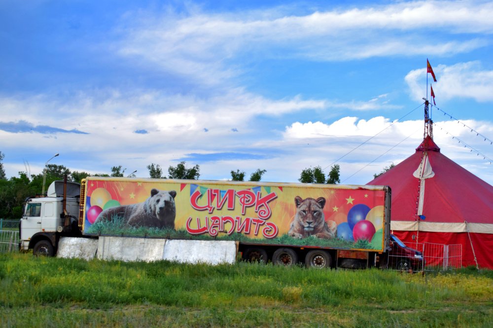 Photograph by Татьяна Дорожко