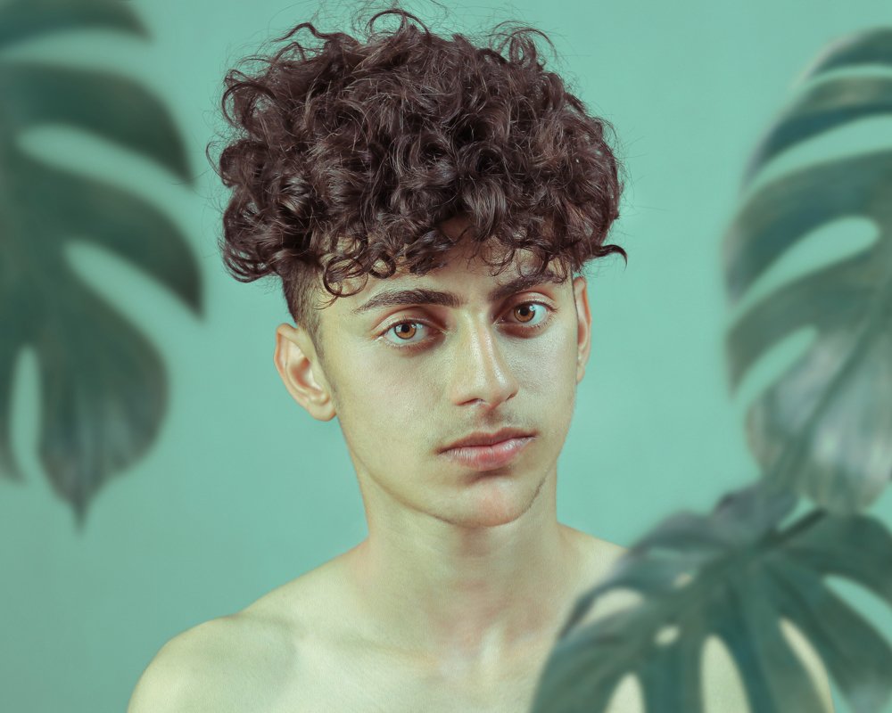 Фотография автора mehrdad Alizadeh