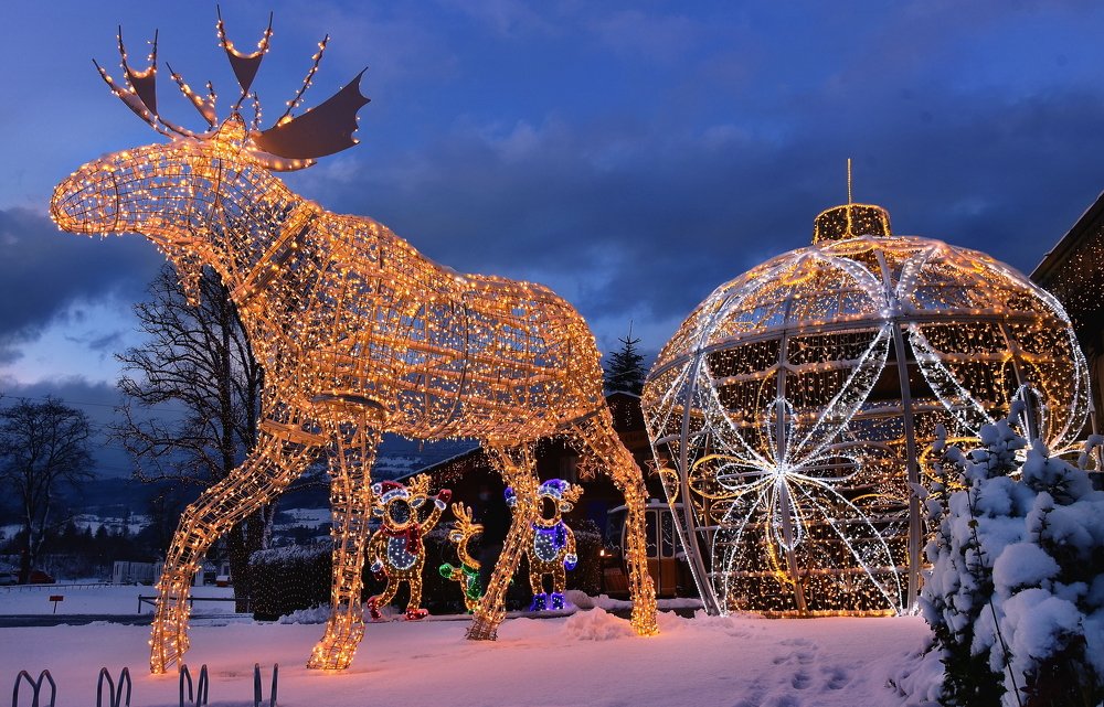 Photograph by Elena Wymann