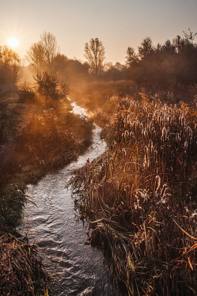 Photograph by Владимир Черных
