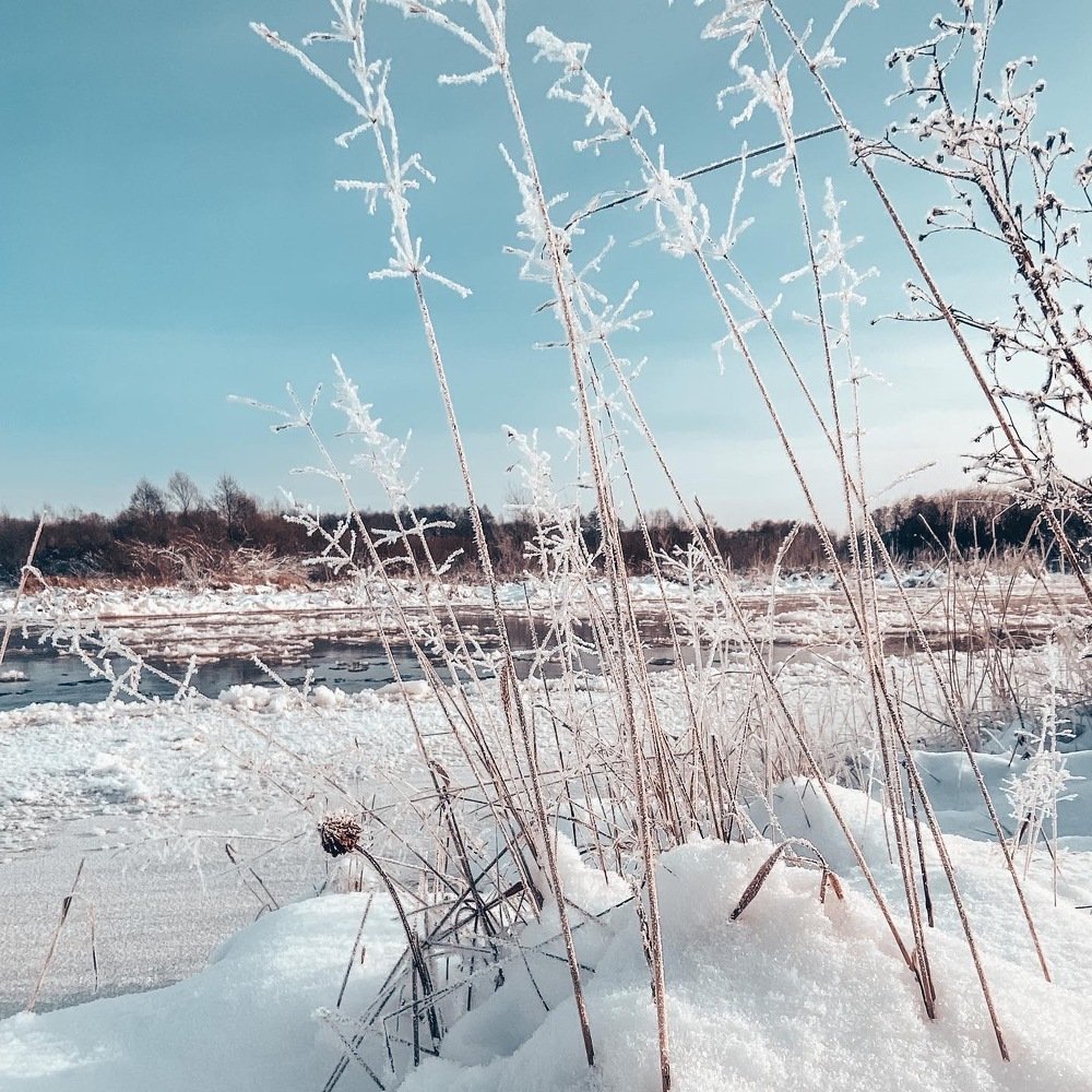 Photograph by танюшка русак (сыч)