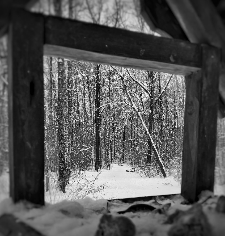 Photograph by Алексей Копылов