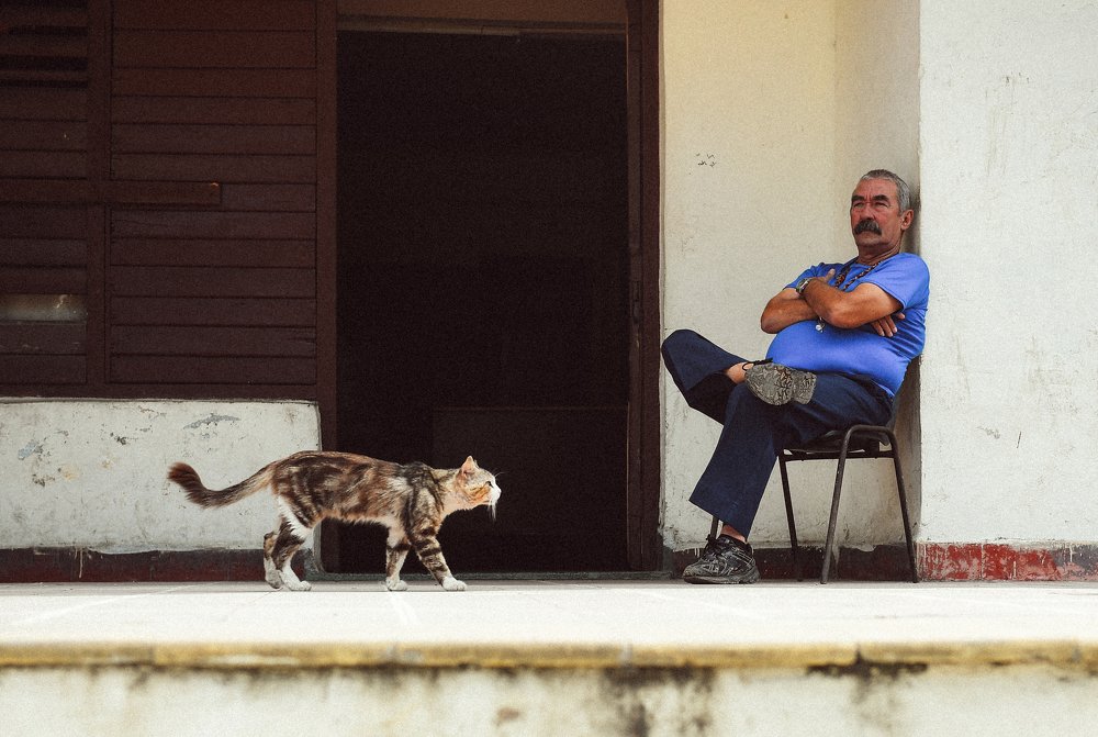 Photograph by Игорь Лобанов