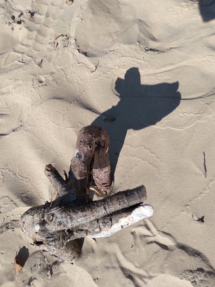 Photograph by Старикова Светлана