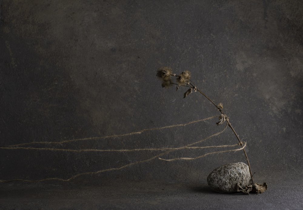 Photograph by Динеева Анна