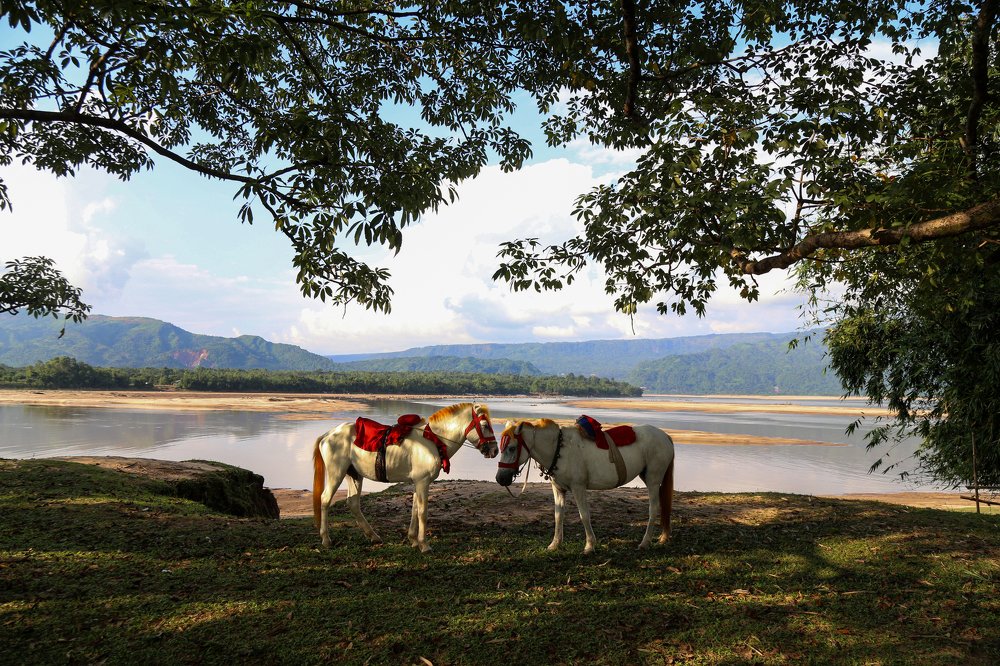 Photograph by Noushad Rakib