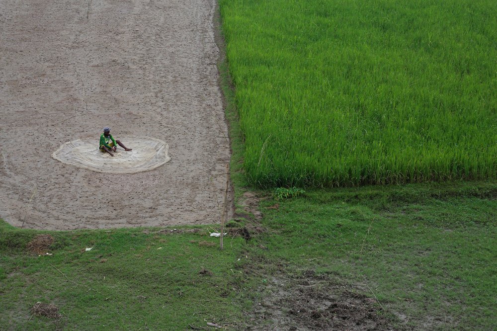 Photograph by Noushad Rakib