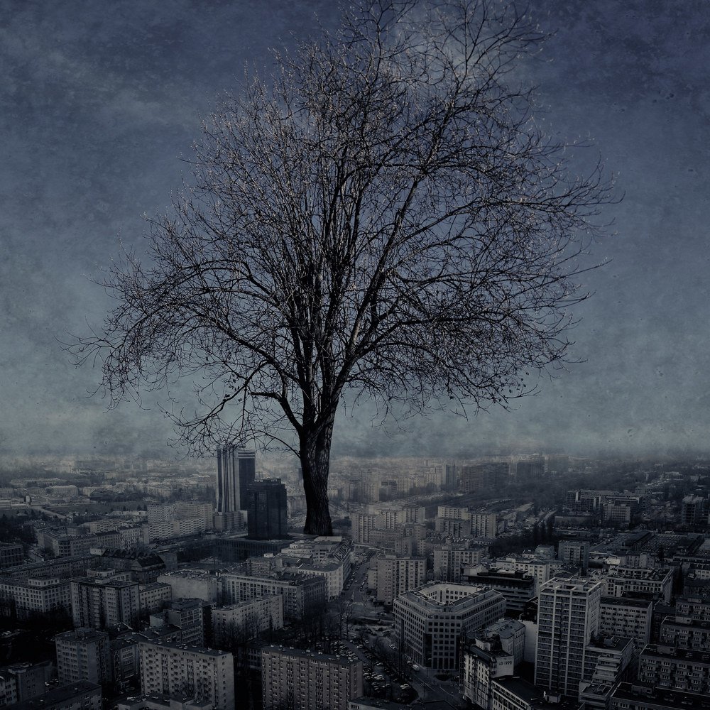 Photograph by Andrzej Wojciechowski