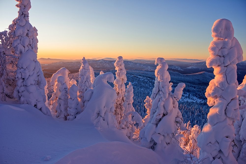 Зефирный вечер.