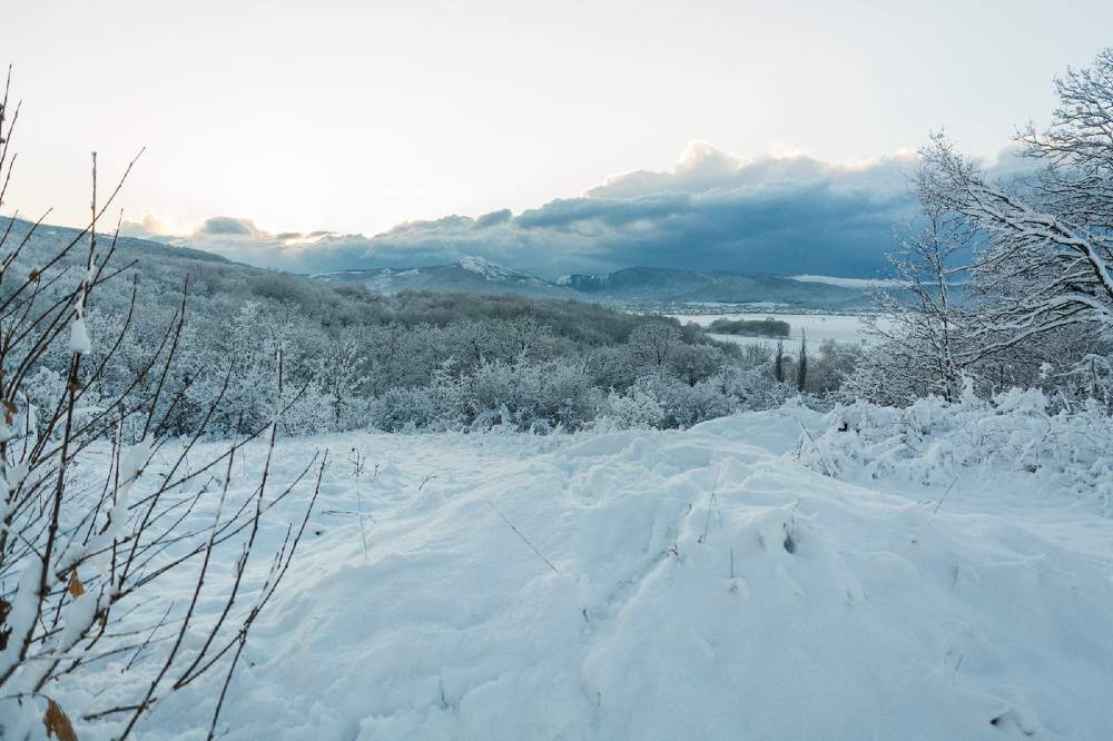 Photograph by Гибина Екатерина