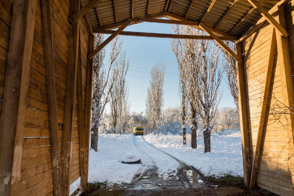 Photograph by Гибина Екатерина