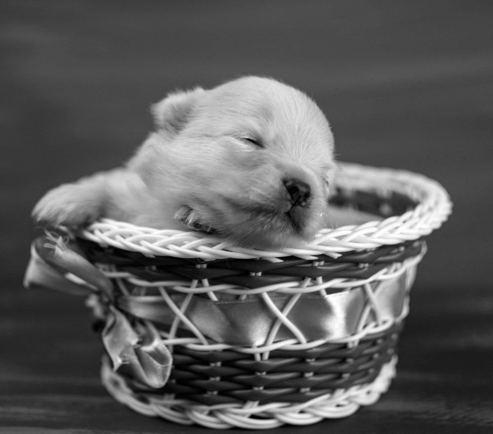 Пора вздремнуть))