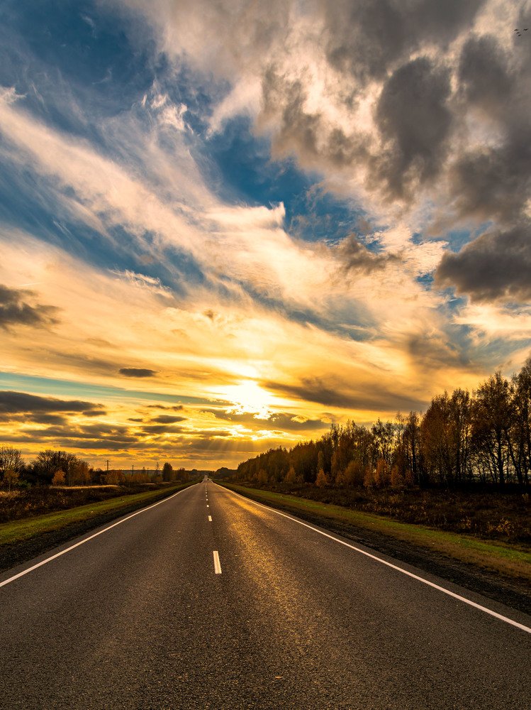 Дорога домой