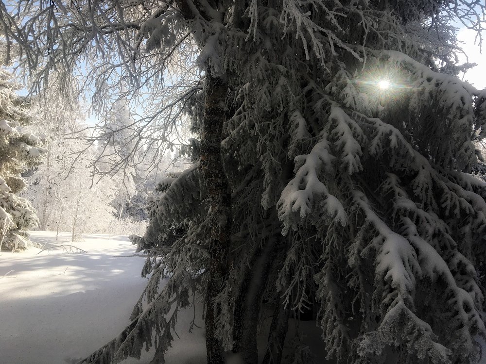 Photograph by Ирина Елсукова