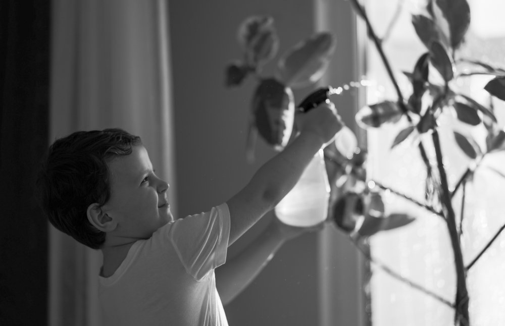 Photograph by Елена Комарова