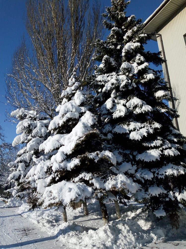 Photograph by Татьяна Пальчикова