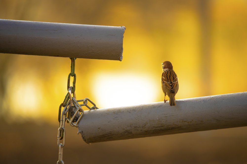 Photograph by Дмитрий Чудинин