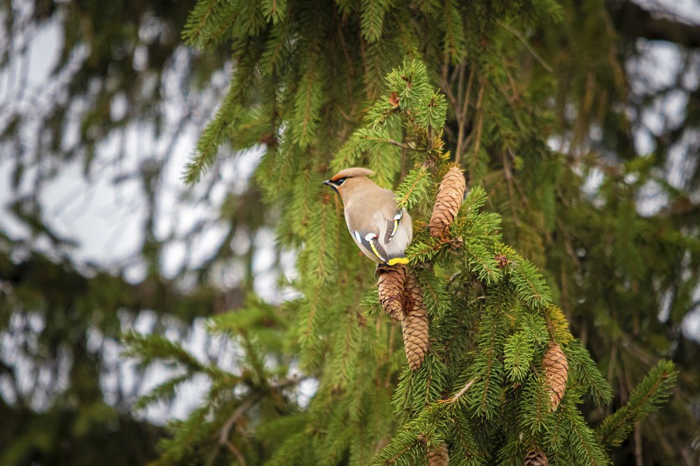 Photograph by Дмитрий Чудинин