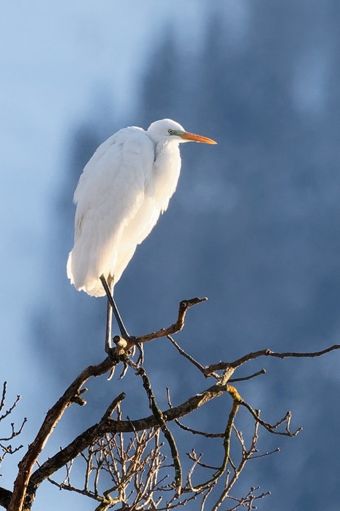 Photograph by zause01