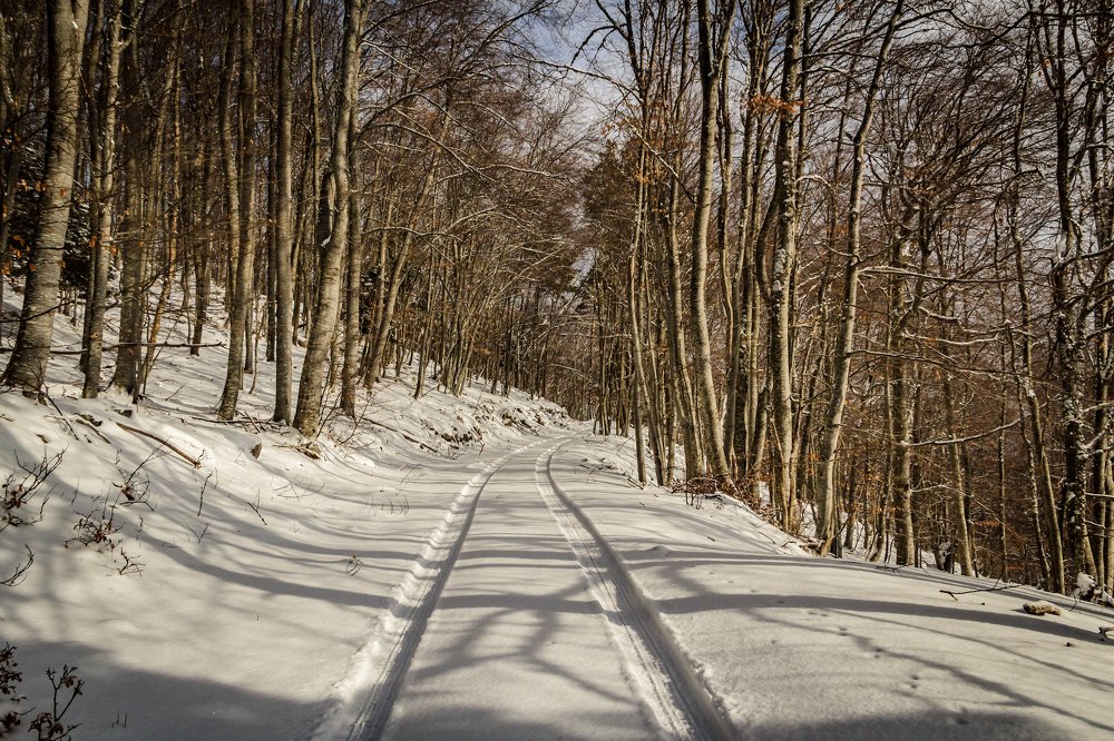 Photograph by Игорь Сидун