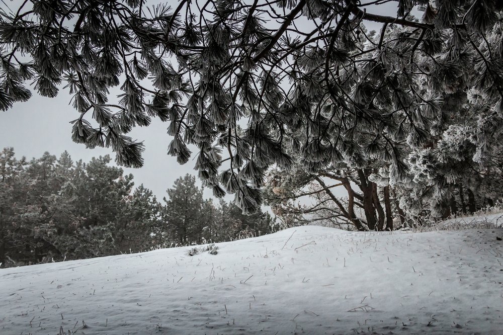 Крымская зимняя сказка