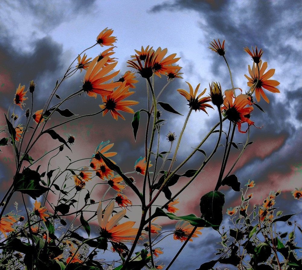 Фотография автора Виктор Крючков