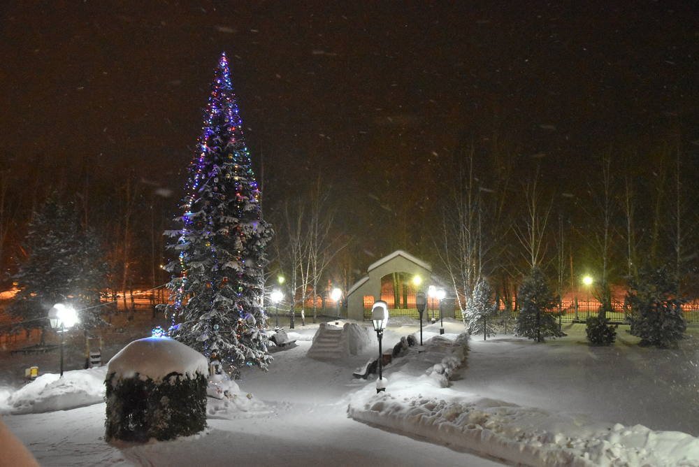 Photograph by НИНА АВЕРЬЯНОВА