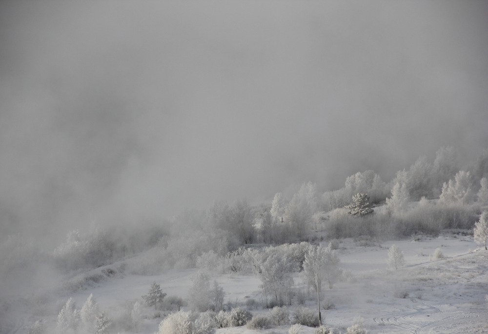 Photograph by Sofya Seredkina