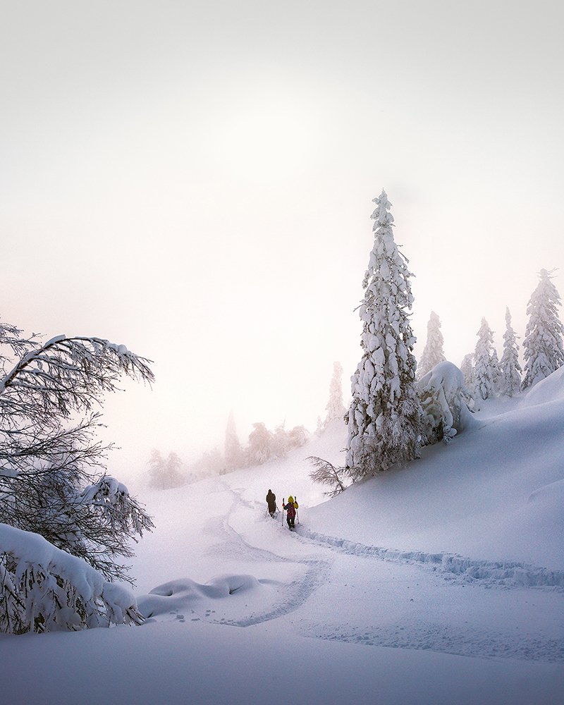 Снежная пелена