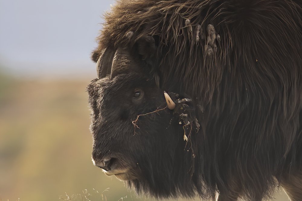 Photograph by Ernestas Balcikonis