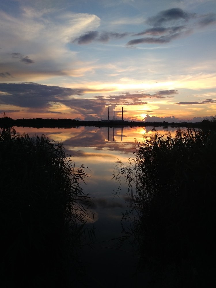 Photo #5540562