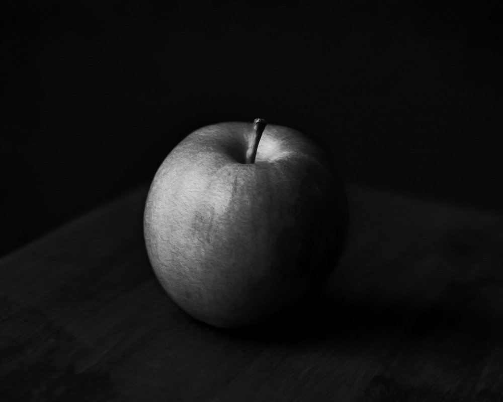 Photograph by Alexandra Whelan