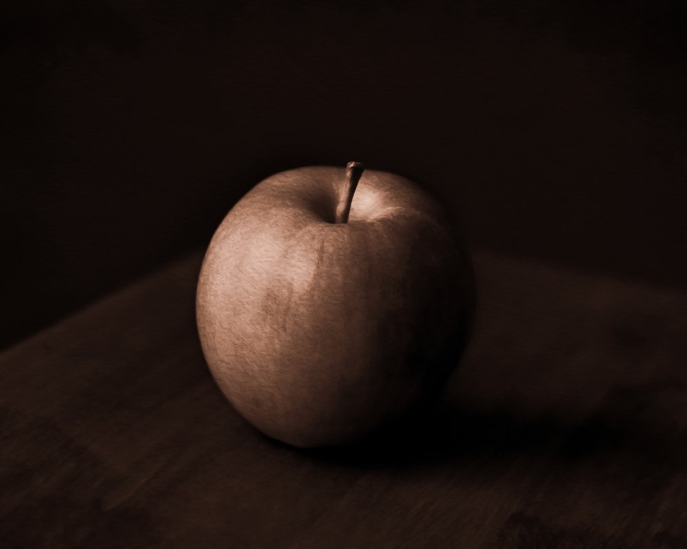 Photograph by Alexandra Whelan